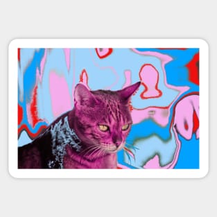 Cat LSD Sticker